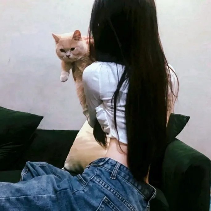 开播！短剧季